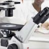 inverted live cell microscope